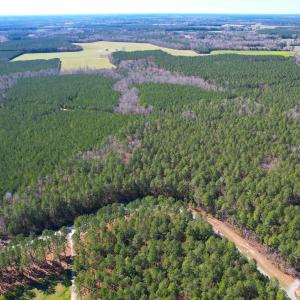 Photo #2 of SOLD property in Off Spring Farm Rd, Dendron, VA 20.0 acres