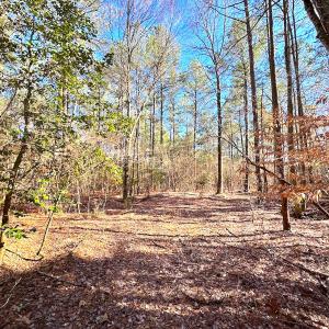 Photo #21 of SOLD property in Off Spring Farm Rd, Dendron, VA 20.0 acres