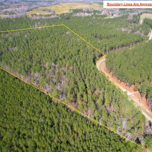 Photo #3 of SOLD property in Off Spring Farm Rd, Dendron, VA 20.0 acres