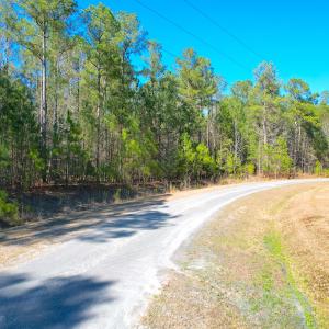 Photo #4 of SOLD property in Off Spring Farm Rd, Dendron, VA 20.0 acres