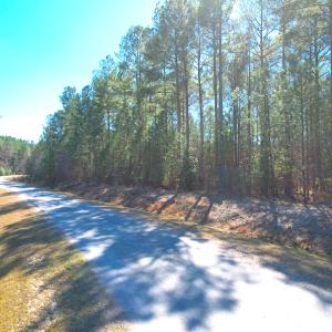 Photo #5 of SOLD property in Off Spring Farm Rd, Dendron, VA 20.0 acres