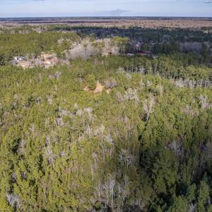 Photo #9 of SOLD property in Off Hallsboro Road, Whiteville, NC 32.7 acres