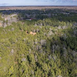 Photo #10 of SOLD property in Off Hallsboro Road, Whiteville, NC 32.7 acres
