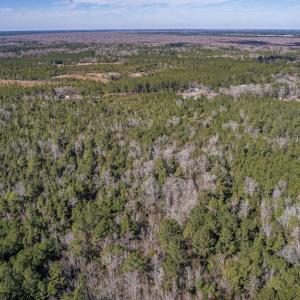 Photo #12 of SOLD property in Off Hallsboro Road, Whiteville, NC 32.7 acres