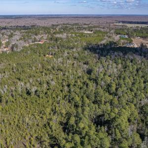Photo #13 of SOLD property in Off Hallsboro Road, Whiteville, NC 32.7 acres
