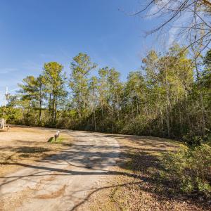 Photo #17 of SOLD property in Off Hallsboro Road, Whiteville, NC 32.7 acres