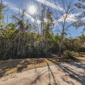 Photo #18 of SOLD property in Off Hallsboro Road, Whiteville, NC 32.7 acres
