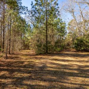 Photo #20 of SOLD property in Off Hallsboro Road, Whiteville, NC 32.7 acres