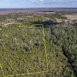 Photo #4 of SOLD property in Off Hallsboro Road, Whiteville, NC 32.7 acres