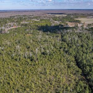 Photo #5 of SOLD property in Off Hallsboro Road, Whiteville, NC 32.7 acres