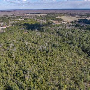 Photo #6 of SOLD property in Off Hallsboro Road, Whiteville, NC 32.7 acres