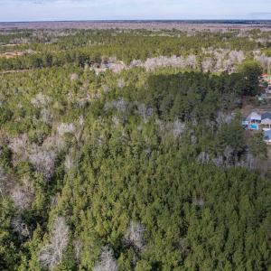 Photo #7 of SOLD property in Off Hallsboro Road, Whiteville, NC 32.7 acres