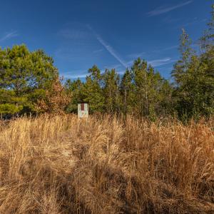 Photo #21 of SOLD property in Off Hallsboro Road, Whiteville, NC 32.7 acres