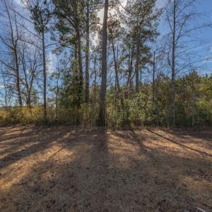 Photo #23 of SOLD property in Off Hallsboro Road, Whiteville, NC 32.7 acres