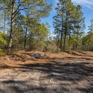 Photo #24 of SOLD property in Off Hallsboro Road, Whiteville, NC 32.7 acres