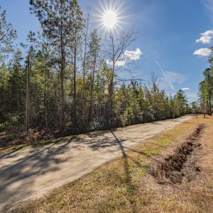 Photo #26 of SOLD property in Off Hallsboro Road, Whiteville, NC 32.7 acres