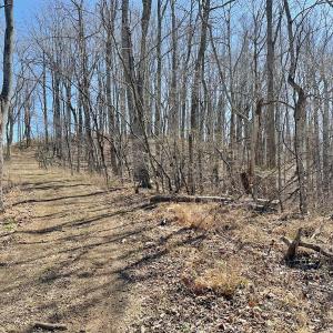 Photo #18 of Off Tower Road, Tract 2 and Pt Tract 2, Christiansburg, VA 19.7 acres