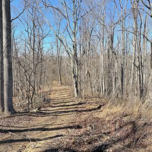 Photo #21 of Off Tower Road, Tract 2 and Pt Tract 2, Christiansburg, VA 19.7 acres
