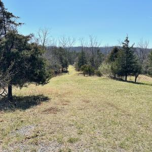 Photo #4 of Off Tower Road, Tract 2 and Pt Tract 2, Christiansburg, VA 19.7 acres