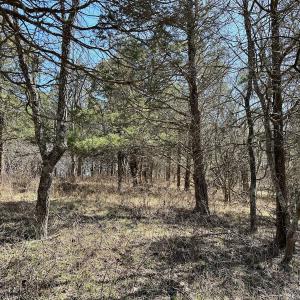 Photo #7 of Off Tower Road, Tract 2 and Pt Tract 2, Christiansburg, VA 19.7 acres