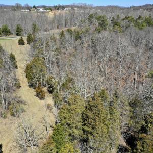 Photo #10 of Off Tower Road, Tract 2 and Pt Tract 2, Christiansburg, VA 19.7 acres
