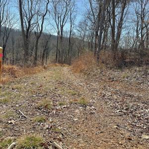 Photo #22 of Off Tower Road, Tract 2 and Pt Tract 2, Christiansburg, VA 19.7 acres