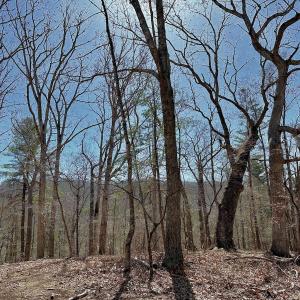 Photo #25 of Off Tower Road, Tract 2 and Pt Tract 2, Christiansburg, VA 19.7 acres