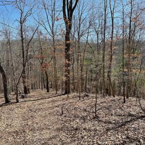 Photo #26 of Off Tower Road, Tract 2 and Pt Tract 2, Christiansburg, VA 19.7 acres
