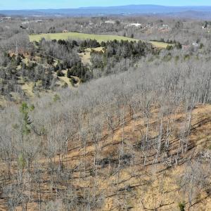 Photo #27 of Off Tower Road, Tract 2 and Pt Tract 2, Christiansburg, VA 19.7 acres