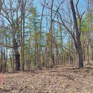 Photo #28 of Off Tower Road, Tract 2 and Pt Tract 2, Christiansburg, VA 19.7 acres