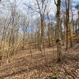 Photo #5 of SOLD property in Off Howle Drive, Burlington, NC 1.7 acres
