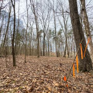 Photo #26 of SOLD property in Off Howle Drive, Burlington, NC 1.7 acres