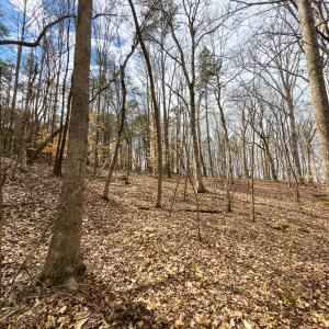 Photo #35 of SOLD property in Off Howle Drive, Burlington, NC 1.7 acres