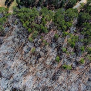 Photo #40 of SOLD property in Off Howle Drive, Burlington, NC 1.7 acres