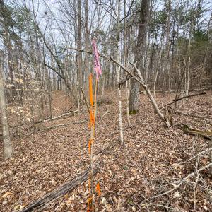Photo #43 of SOLD property in Off Howle Drive, Burlington, NC 1.7 acres