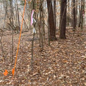 Photo #48 of SOLD property in Off Howle Drive, Burlington, NC 1.7 acres