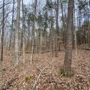 Photo #50 of SOLD property in Off Howle Drive, Burlington, NC 1.7 acres