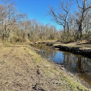 Photo #16 of SOLD property in 442 Pine Street, Trenton, NC 1.0 acres