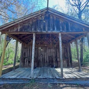 Photo #3 of SOLD property in 442 Pine Street, Trenton, NC 1.0 acres
