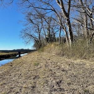 Photo #8 of SOLD property in 442 Pine Street, Trenton, NC 1.0 acres