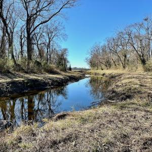 Photo #19 of SOLD property in 442 Pine Street, Trenton, NC 1.0 acres