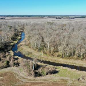 Photo #52 of SOLD property in 442 Pine Street, Trenton, NC 1.0 acres