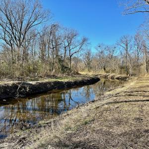 Photo #54 of SOLD property in 442 Pine Street, Trenton, NC 1.0 acres