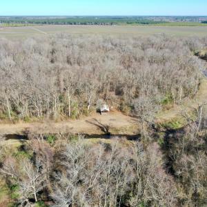 Photo #59 of SOLD property in 442 Pine Street, Trenton, NC 1.0 acres