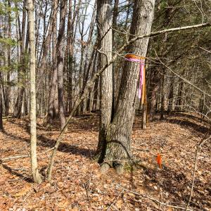 Photo #16 of Off Howle Drive, Burlington, NC 0.8 acres
