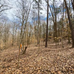 Photo #28 of Off Howle Drive, Burlington, NC 0.8 acres