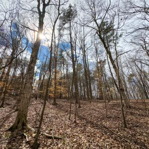 Photo #8 of Off Howle Drive, Burlington, NC 0.9 acres