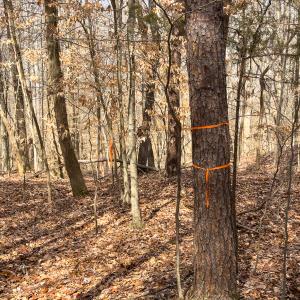 Photo #26 of Off Howle Drive, Burlington, NC 0.9 acres
