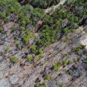 Photo #29 of Off Howle Drive, Burlington, NC 0.9 acres
