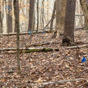 Photo #35 of Off Howle Drive, Burlington, NC 0.9 acres